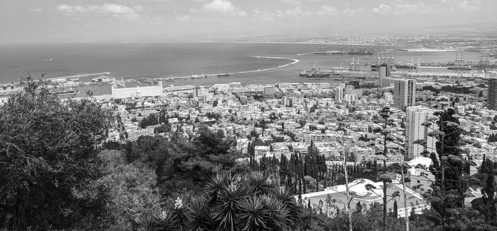 נוף פנורמי של חיפה ומפרצה בשחור לבן, 2024