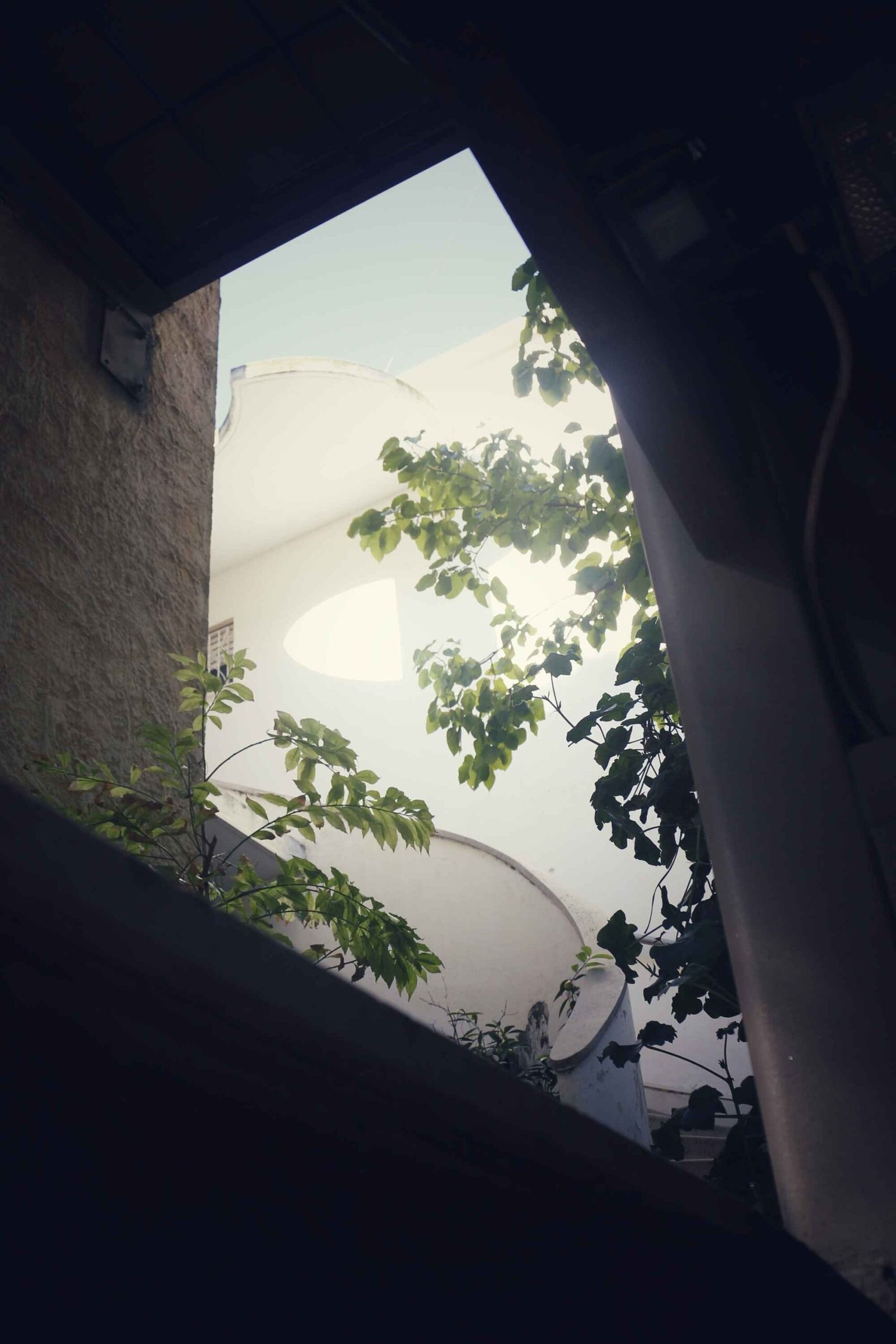 בית אגיון בחיפה + בונוס